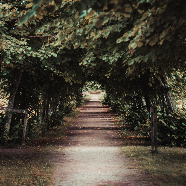 En mystisk vg En mystisk vg