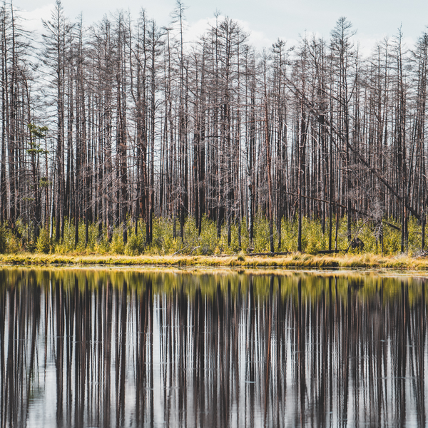 Hlleskogsbrnnan Hlleskogsbrnnan