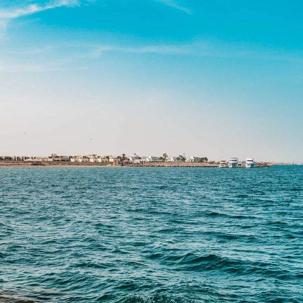 Vivid Seaside